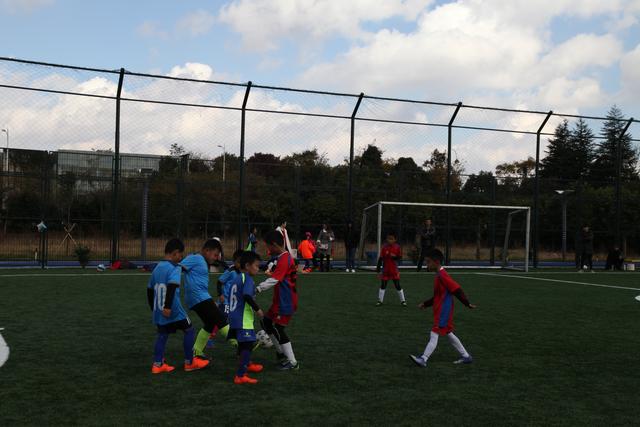 泰晤士报：曼联接近任命阿莫林 范尼可能只带一场